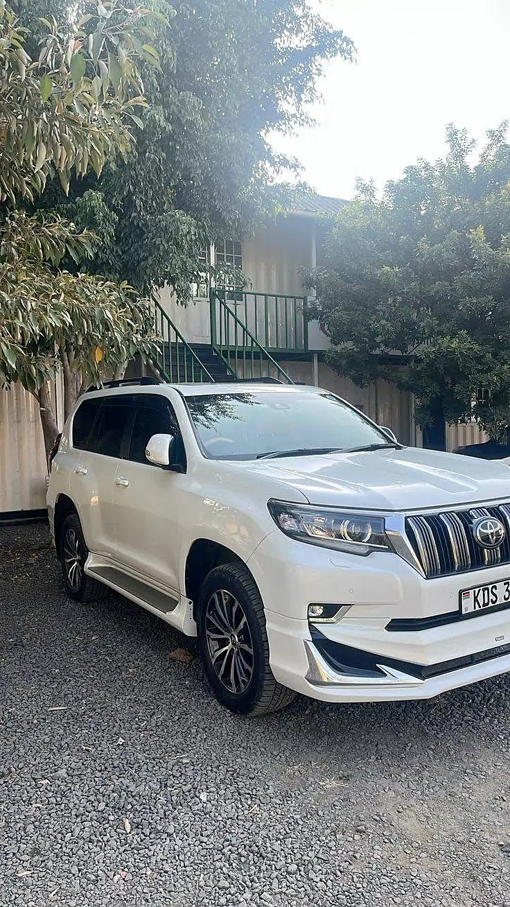 Toyota Prado TX (White)